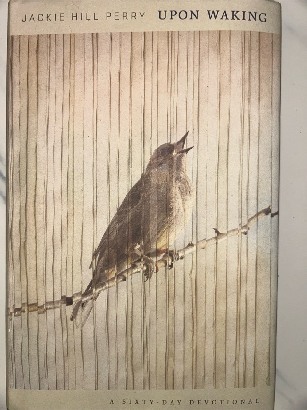 Jackie Hill Perry Upon Waking - Brown Bird Devotional Cover